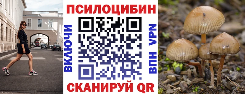 как найти закладки Озёры Галлюциногенные грибы ЛСД