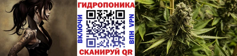 как найти наркотики  Озёры  Канабис индика 
